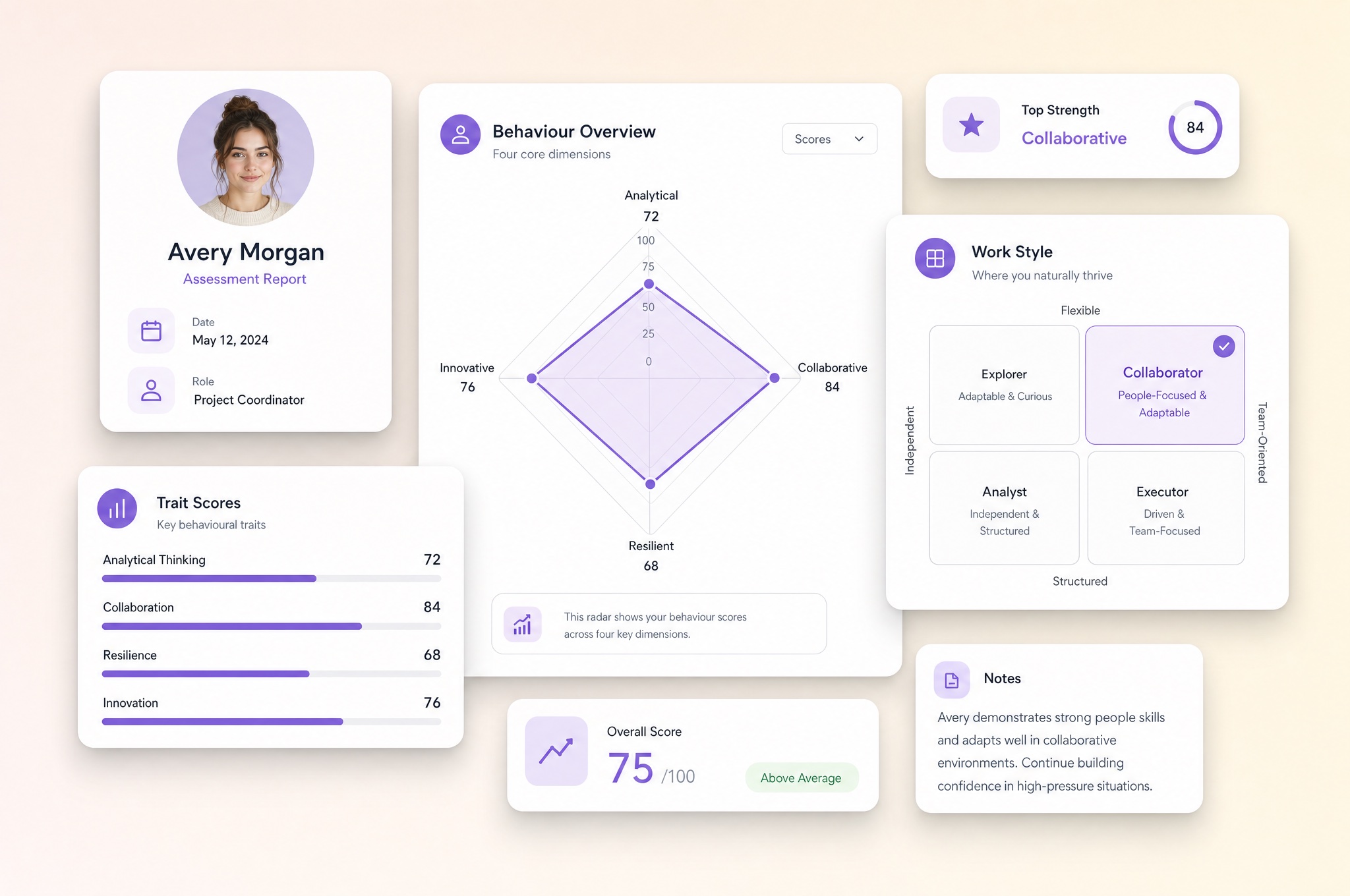 Illustrative behavioural profile with trait scales and coaching notes